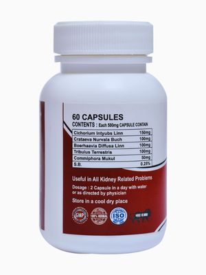 Jeevan Shree CKD Capsule - Image 2